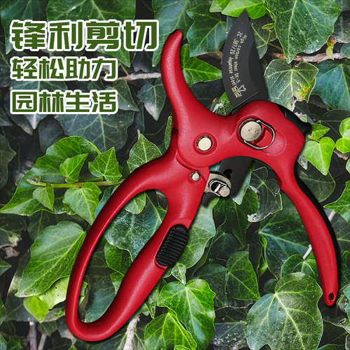意大利进口户外多用剪子蔬果花艺园艺剪刀修枝剪SK5树枝专用剪子