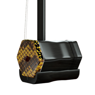 闻韶苏州二胡乐器厂家直销黑檀二泉二胡二泉琴成人专业演奏映月