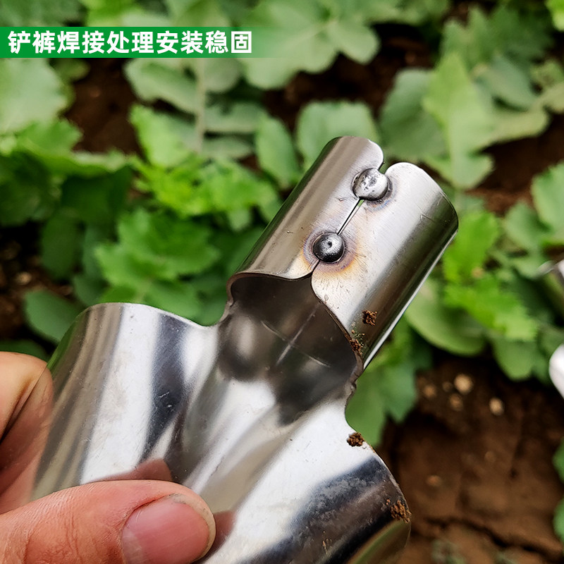 不锈钢放羊铲子小号铁锹户外挖土家用种花种菜农用赶海工具大全i.图片