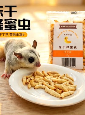 蜜袋鼯仓鼠鹦鹉零食冻干玉米虫