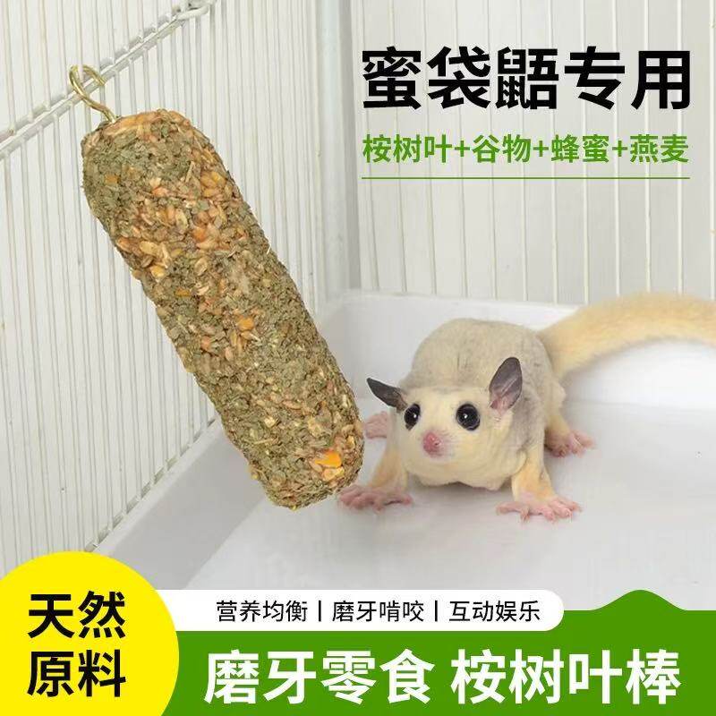 蜜袋鼯超爱的桉树叶果蔬磨牙棒