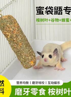 蜜袋鼯超爱的桉树叶果蔬磨牙棒