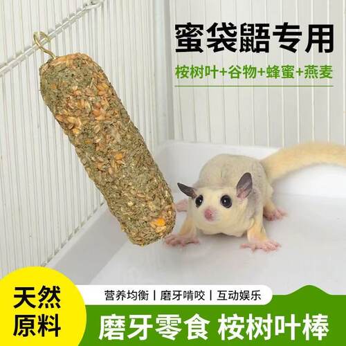 蜜袋鼯超爱的桉树叶果蔬磨牙棒