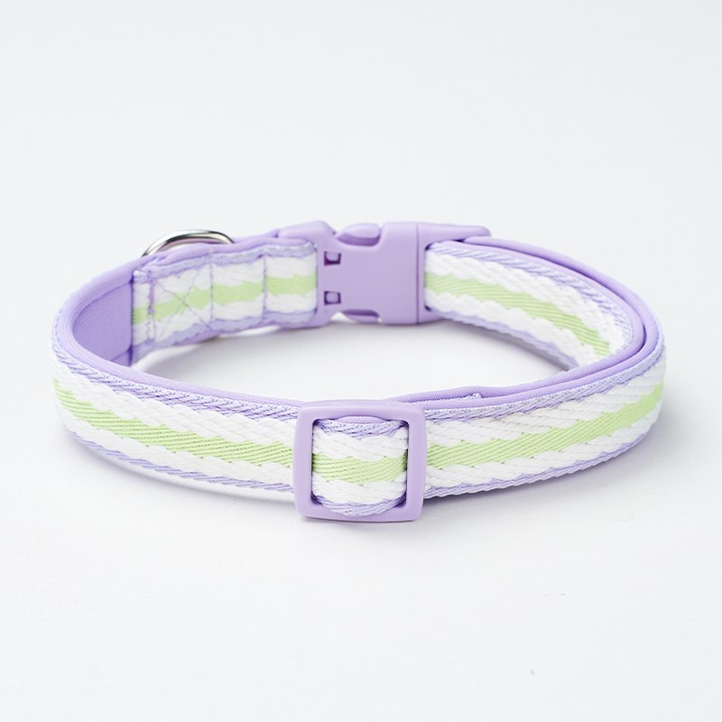 狗脖圈狗项圈结实宠物脖套大中小型犬金毛柯基专用外出可牵引颈圈