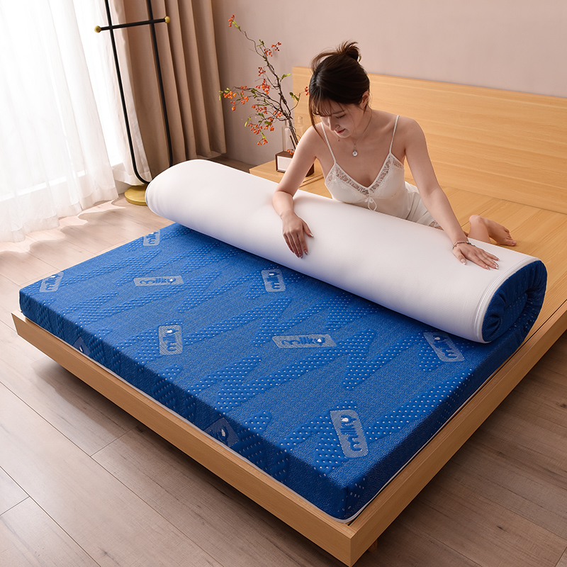 可拆洗记忆海绵床垫软垫10cm家用卧室双人加厚榻榻米折叠垫被褥子