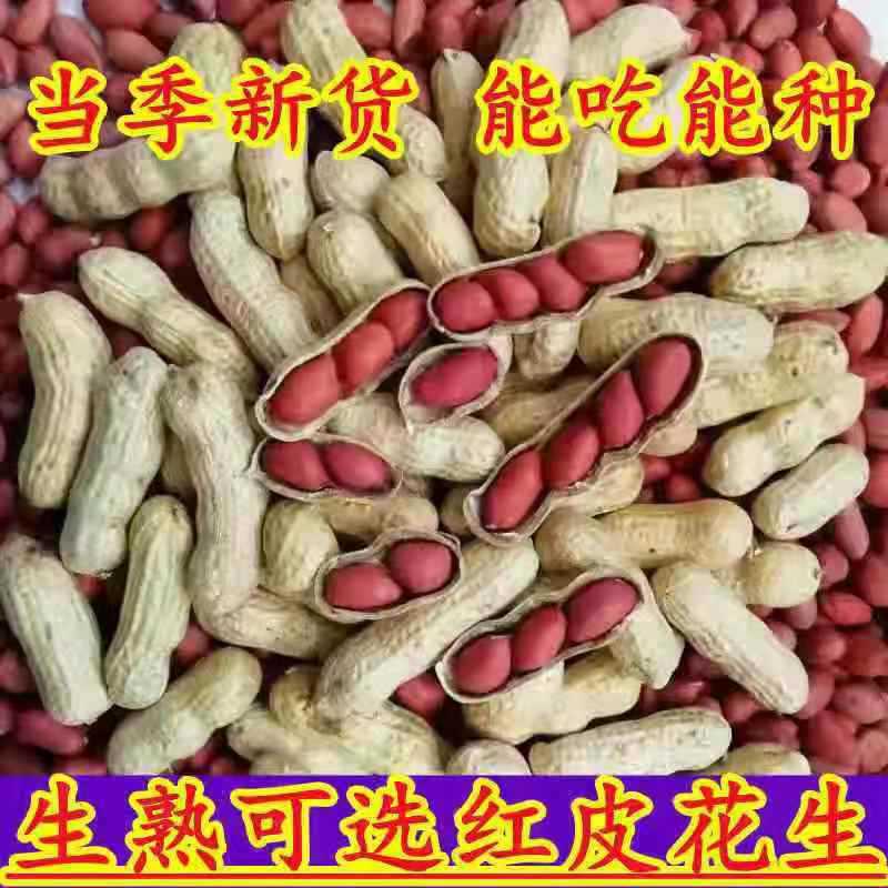 山姆冠超市现炒2025年新货四粒红小珍珠海花多种口味熟花生上市啦
