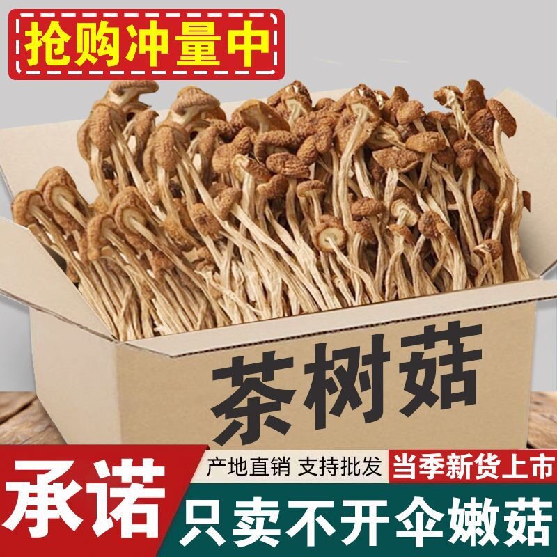 山姆冠超市【 干货】茶树菇农家新货古田不开伞茶树菇香菇干货商
