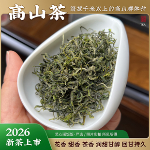 武阳凌韵 2026谷雨新茶 高山毛峰绿茶  群体种土茶 安凤高山茶