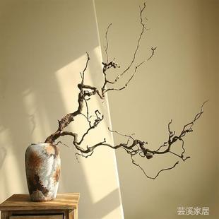 龙枣枝条天然干枝弯曲枯枝造景插花装饰客厅摆件禅意枯木枝干