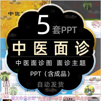 中医面诊图介绍PPT模板痘痘位置看健康面部分区症状肺腑调和医学