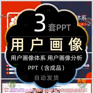 公司用户画像体系分析解决方案PPT模板客户画像用户特征方法论wps