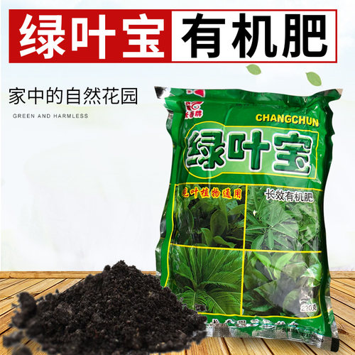 家庭园艺天然花卉植物