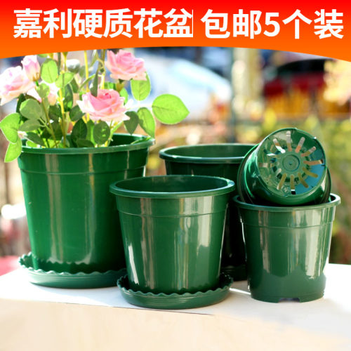 天津君子兰透气花盆塑料