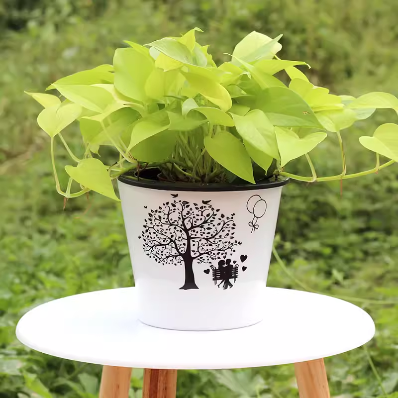 自吸水懒人花盆客厅棉绳绿萝盆栽双层储水自动上水塑料水培清仓,鲜花速递/花卉仿真/绿植园艺,花盆,淘宝优惠券,粉丝福利购,淘宝优惠卷