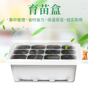 园艺用品育苗盒三件套保温保湿塑料育苗盘环保多肉植物播种育苗箱