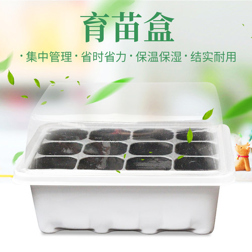 园艺用品保温保湿多肉植物育苗盒