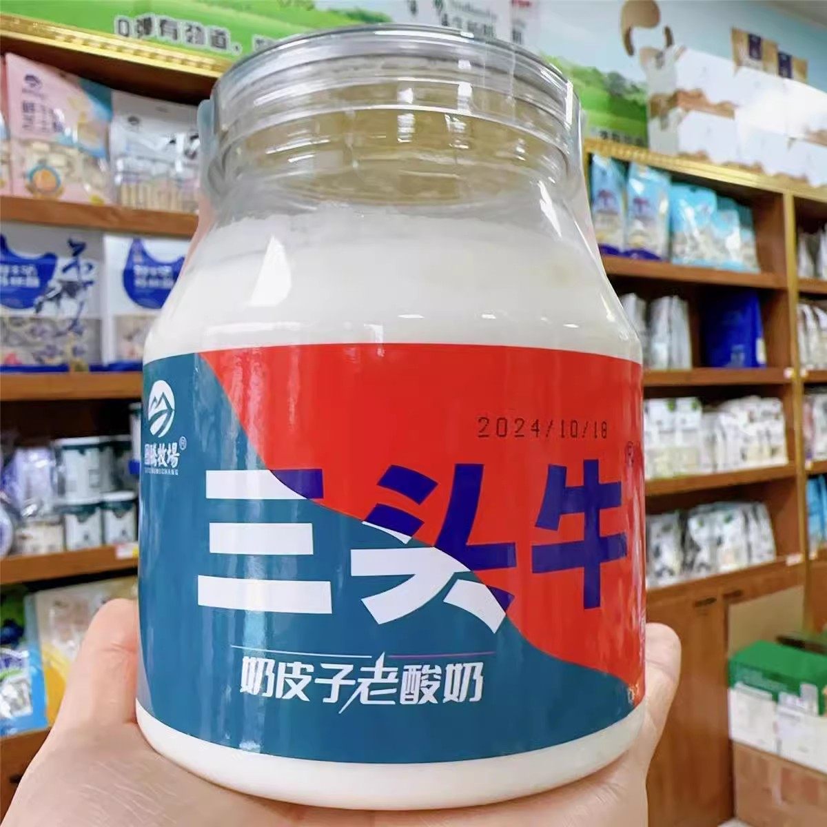 内蒙古特产奶皮子酸奶三头牛奶皮子老酸奶老酸奶