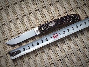 德国克里克驯鹿