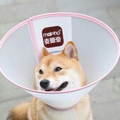麦德豪伊丽莎白圈中大型犬狗脖圈绝育驱虫防舔咬头套项圈宠物用品