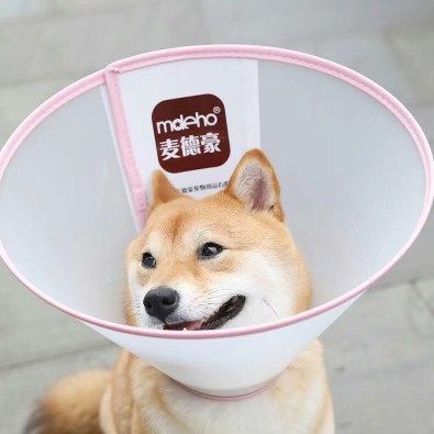 麦德豪伊丽莎白圈中大型犬狗脖圈绝育驱虫防舔咬头套项圈宠物用品