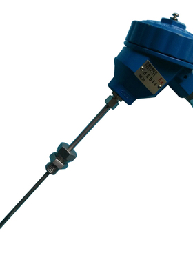 WZP WZPK-346 防爆热电阻 WZPK2-346 L=6*200mm 0-150℃ m20*1.5