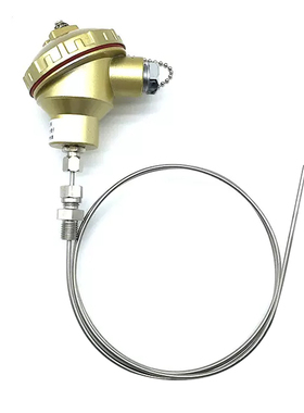 WRNK2-332 双支铠装热电偶 k Ф3 L=2100mm 0-1000℃ 螺纹M12*1.5