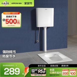 箭牌蹲便器蹲坑水箱家用蹲便器卫生间便盆便池防臭大冲力蹲厕节水