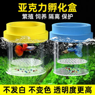 孔雀鱼繁殖盒鱼缸隔离盒小鱼幼鱼母鱼产房漂浮式亚克力孵化器
