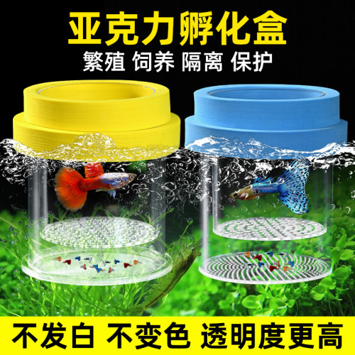 孔雀鱼繁殖盒鱼缸隔离盒亚克力