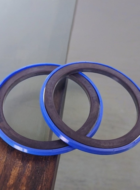 KASTAS进口K49KR 90*69*8.1 100*79*6.3200*179180*159活塞密封件