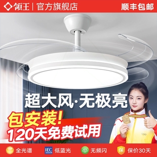 吊扇吸顶隐形体吊灯家用客厅餐厅卧室带电扇一 领王风扇灯2025新款