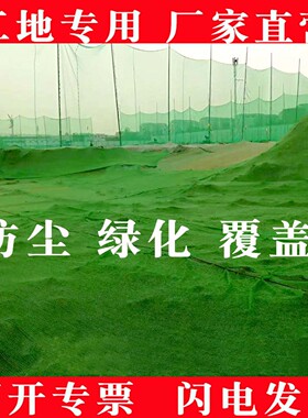 防尘网盖土网建筑工地绿网环保覆盖绿化网密目船用遮盖黑色防尘网