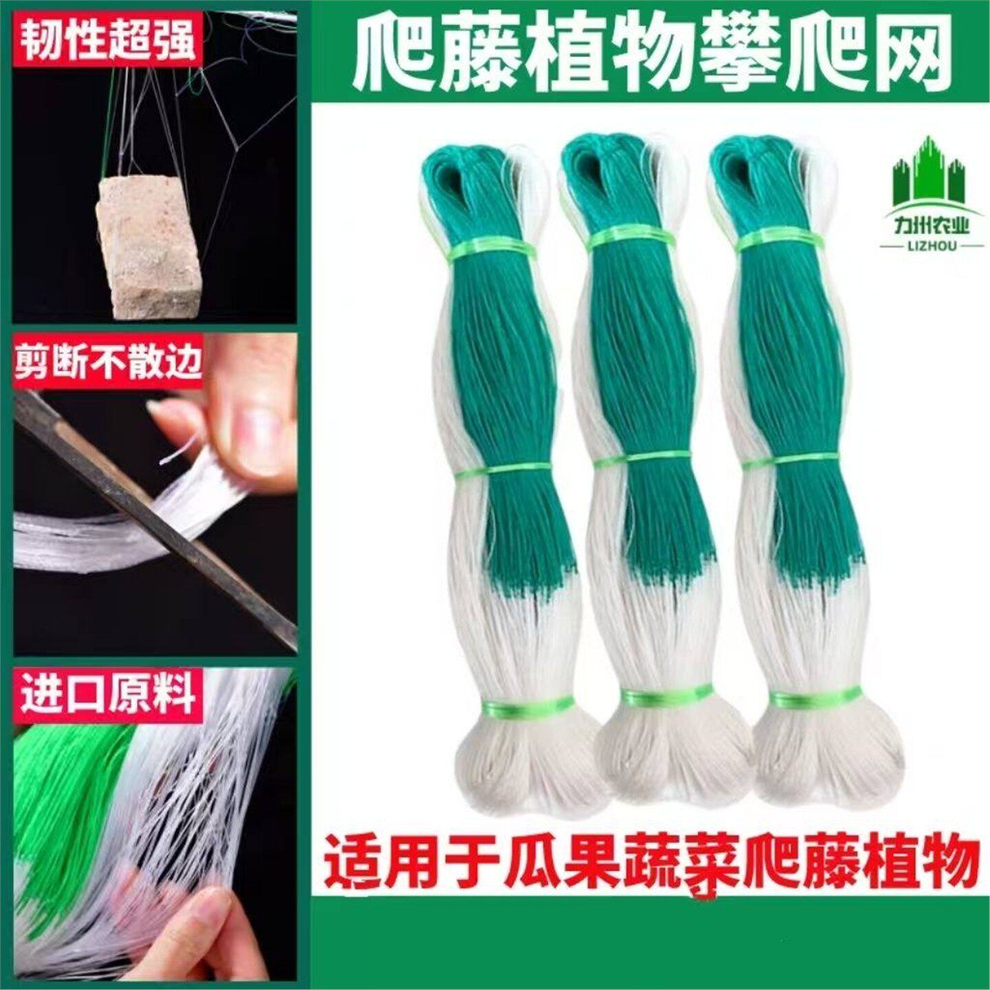 农用植物爬藤网山药豆角丝