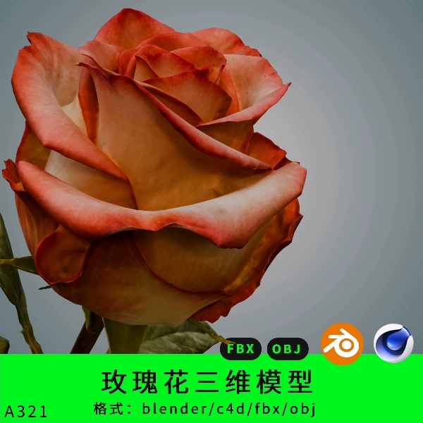 玫瑰花三维模型3d素材blender/c4d/fbx/obj花束玫瑰月季maya/max