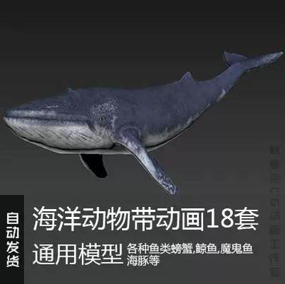 鲸鱼海豚螃蟹鱼海洋通用模型obj fbx 3ds合集带贴图动画 自动发货