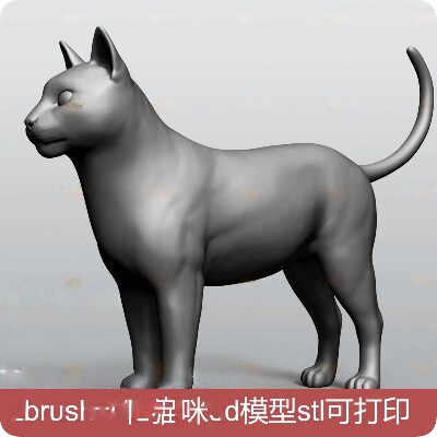 zbrush家畜动物猫咪3D模型stlC4D rhino 3dmax可用obj高模猫模型