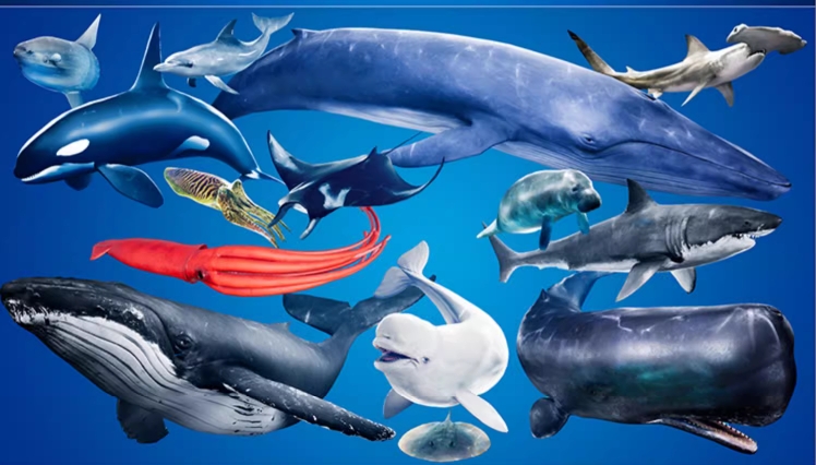 UE4UE5虎鲸白海豚乌贼海牛魔鬼鱼大白鲨Ocean Animals MEGA Pack 商务/设计服务 设计素材/源文件 原图主图