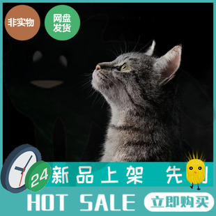 Blender写实猫咪动物带完整骨骼绑定3d模型游戏美术素材3D建模