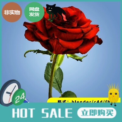 玫瑰花植物花朵叶子三维3D模型