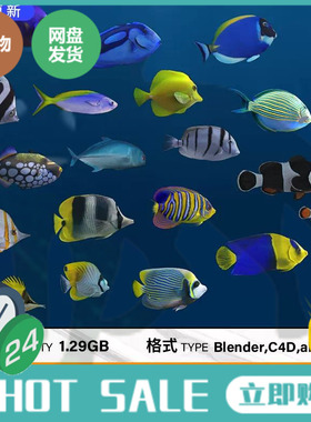 Blender热带海鱼动画工程C4D海洋鱼类模型含abc支持Octane 3DMAX