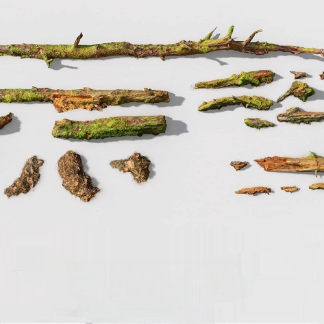 Blender森林枯木树枝碎片FBX模型Forest Branches Debris Leaves