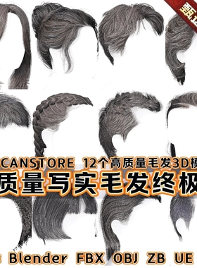 12款高质量帅哥美女地中海头发插片毛发多种格式模型3DScanStore