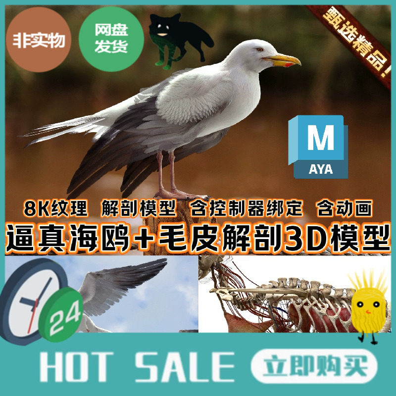 Turbosquid影视MAYA逼真写实海鸥3D模型白鸽cg鸟类绑定动物3A模型