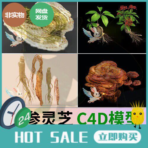 c4d人参灵芝3D模型blender人参灵芝中药材中草药草本Unity犀牛fbx
