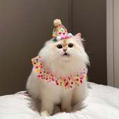 猫咪生日装 扮可爱波点帽子围兜装 饰拍照道具狗狗周岁派对布置用品