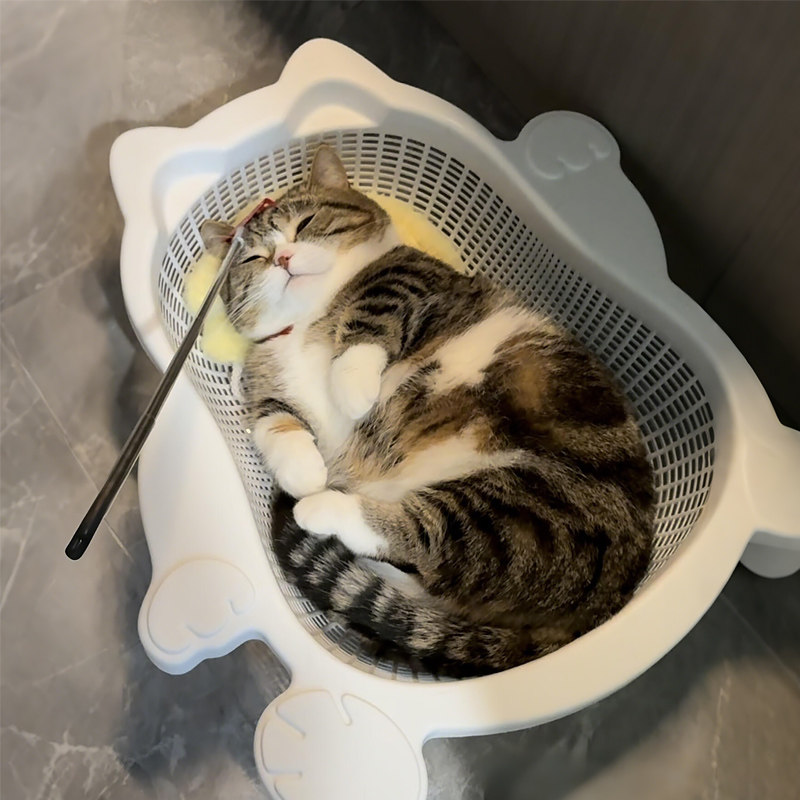 菜篮子猫窝夏季透气凉爽降温猫床加厚PP舒适耐抓垫子可水洗宠物窝