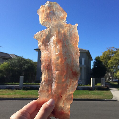 妈咪鳘鱼海产干货正品花胶