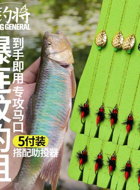 垂钓将路亚假饵瓜子亮片套装飞蝇钩钓组毒蚊微物马口白条翘嘴专用