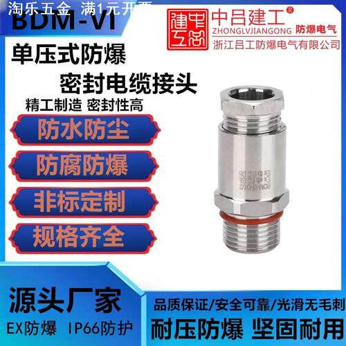 BDM-VI型单压式防爆铠装304不锈钢金属电缆密封接头填料函格兰头