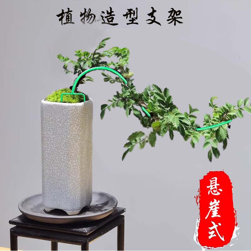 植物造型爬藤架即插即用禅意造景图片